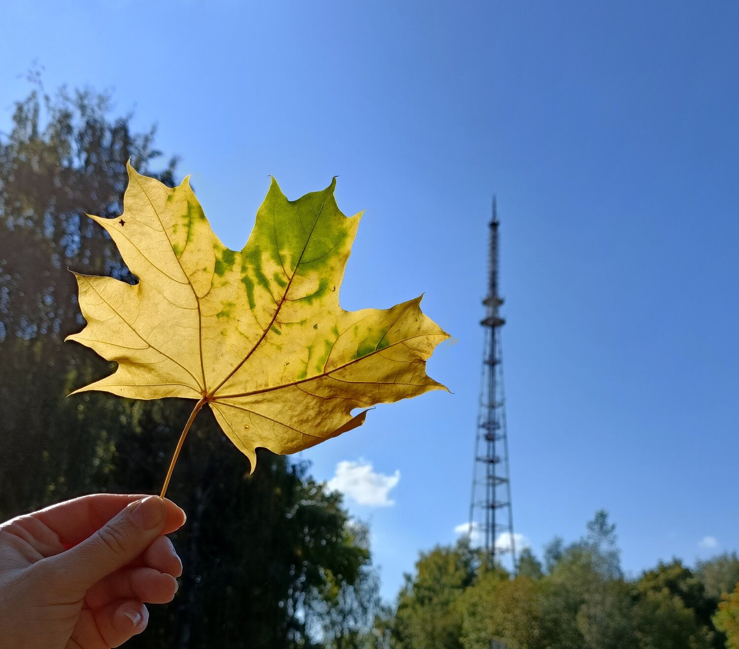 Фотография #14134776