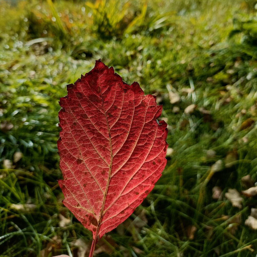Photograph by Татьяна Антонова