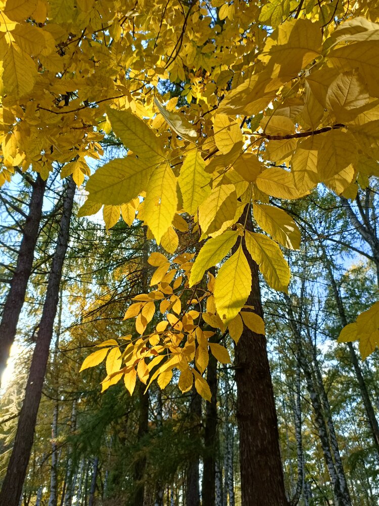 Photograph by Татьяна Антонова