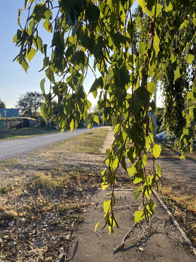 Photograph by Aлександра Чаплыгина