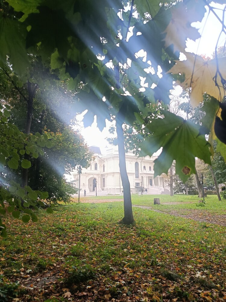 Photograph by Ксения Минеева