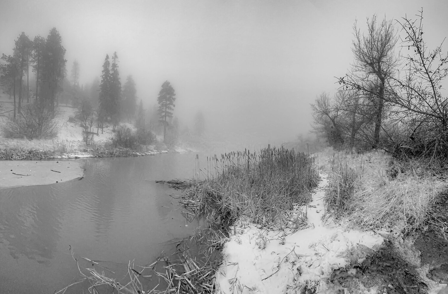 Photo #14135163