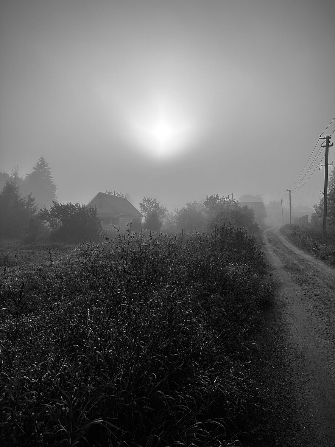 Photo #14135225