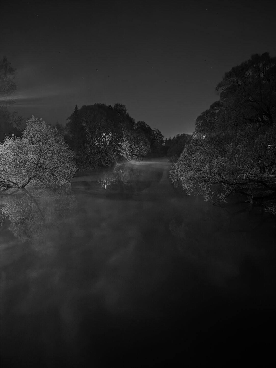 Photo #14135229