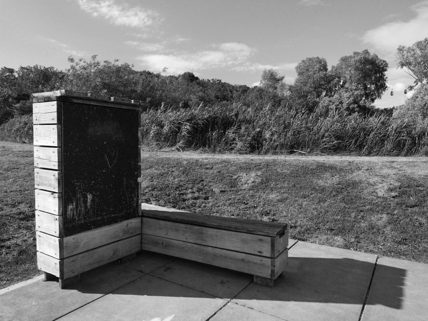 Photo #14135320