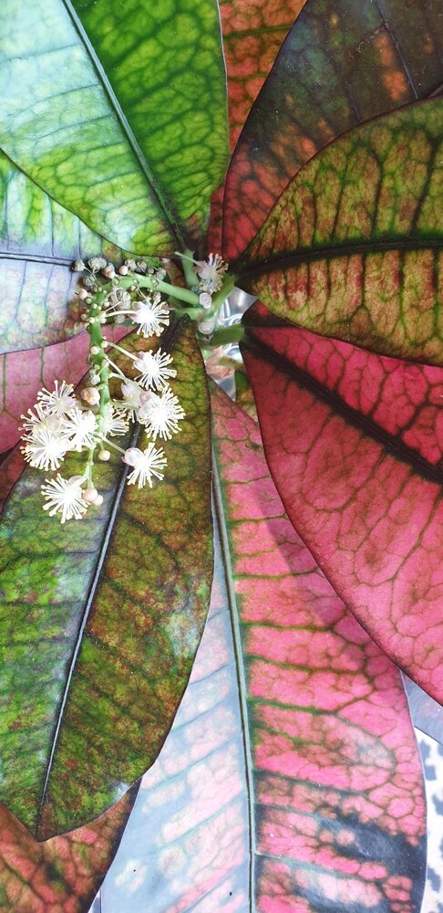 Photograph by Chithra menon