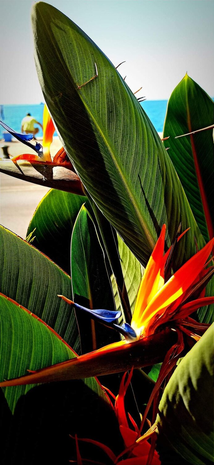 Photo #14135508