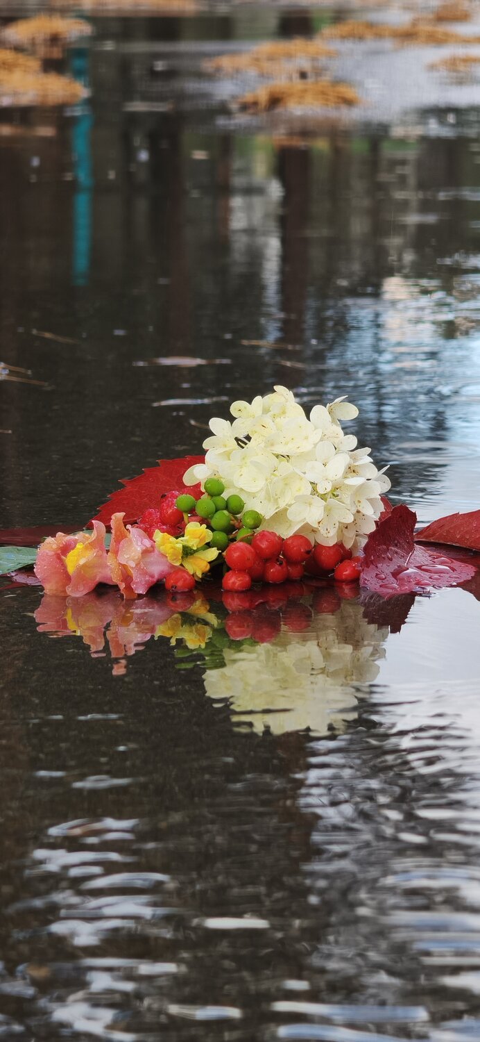 Photo #14135600