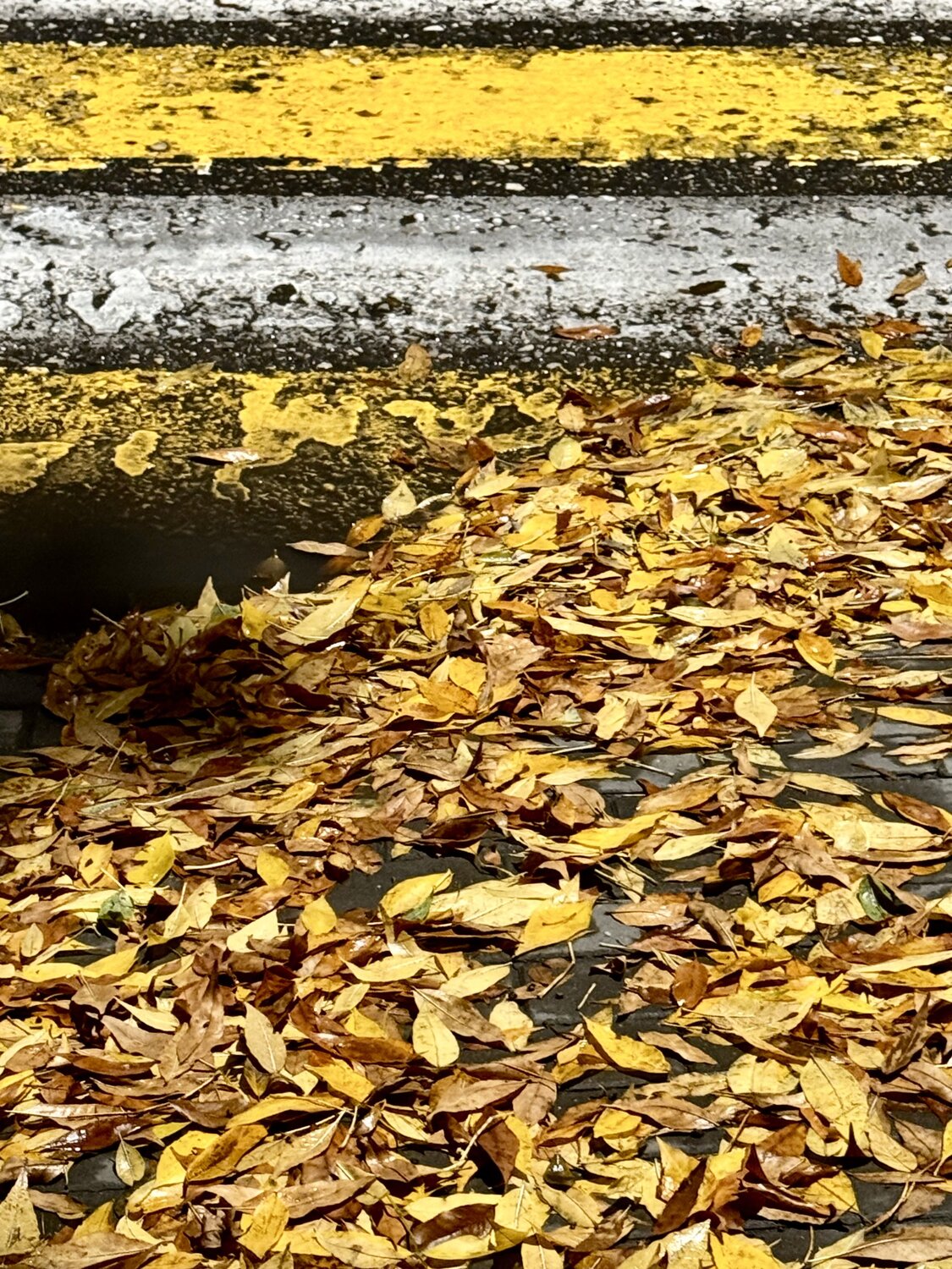 Photo #14135740