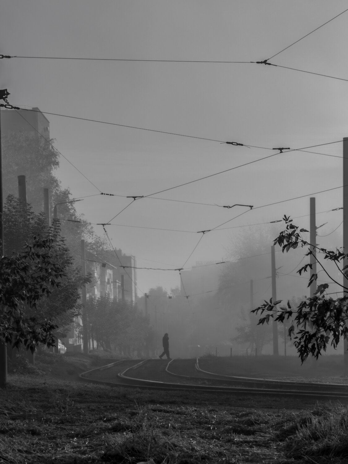 Photo #14135824