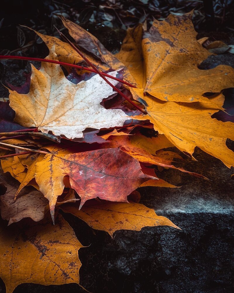 Photograph by Ольга Скиба