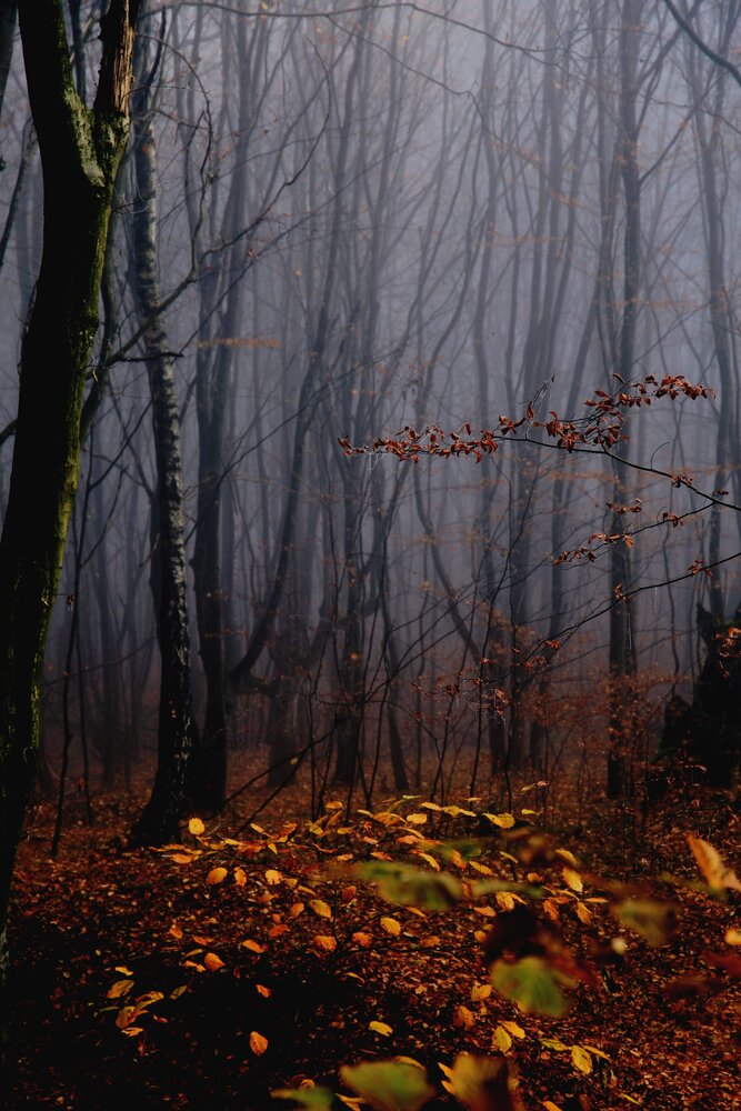 Photograph by Magdalena Kolenicova