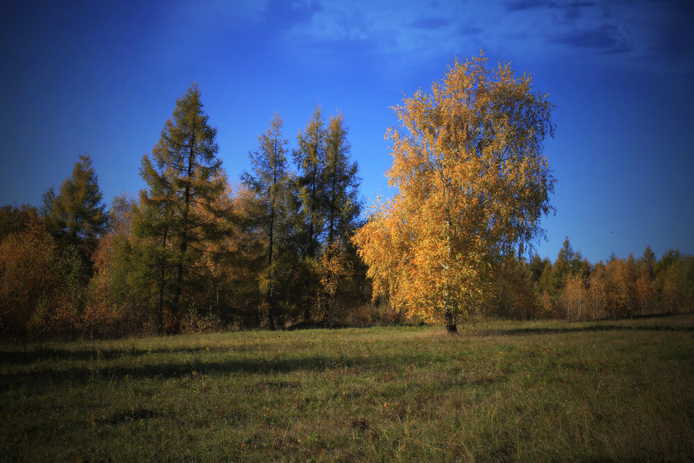 Photograph by Magdalena Kolenicova