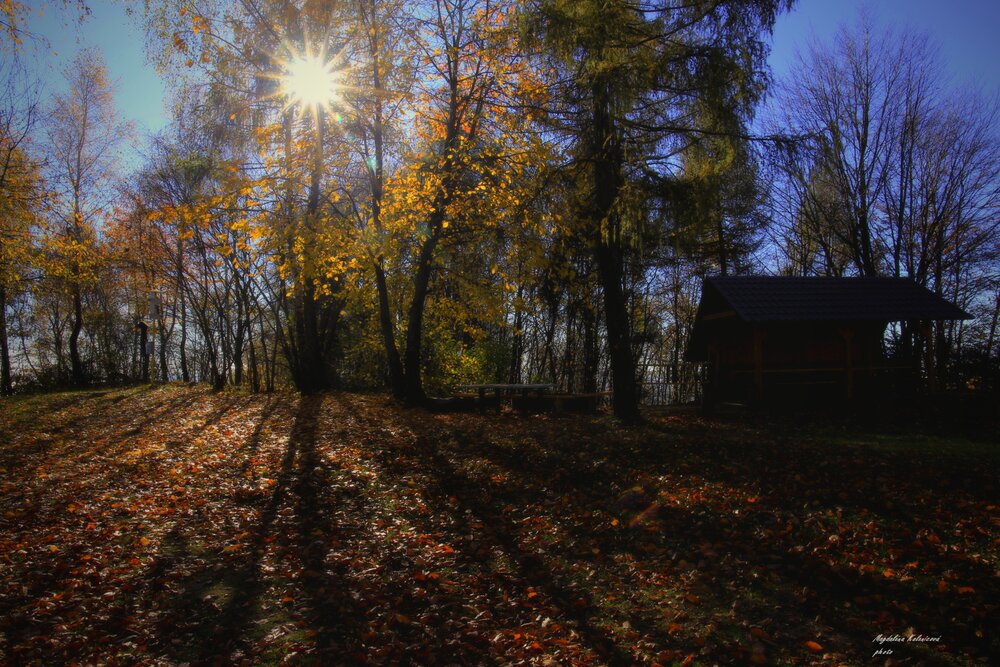 Photograph by Magdalena Kolenicova