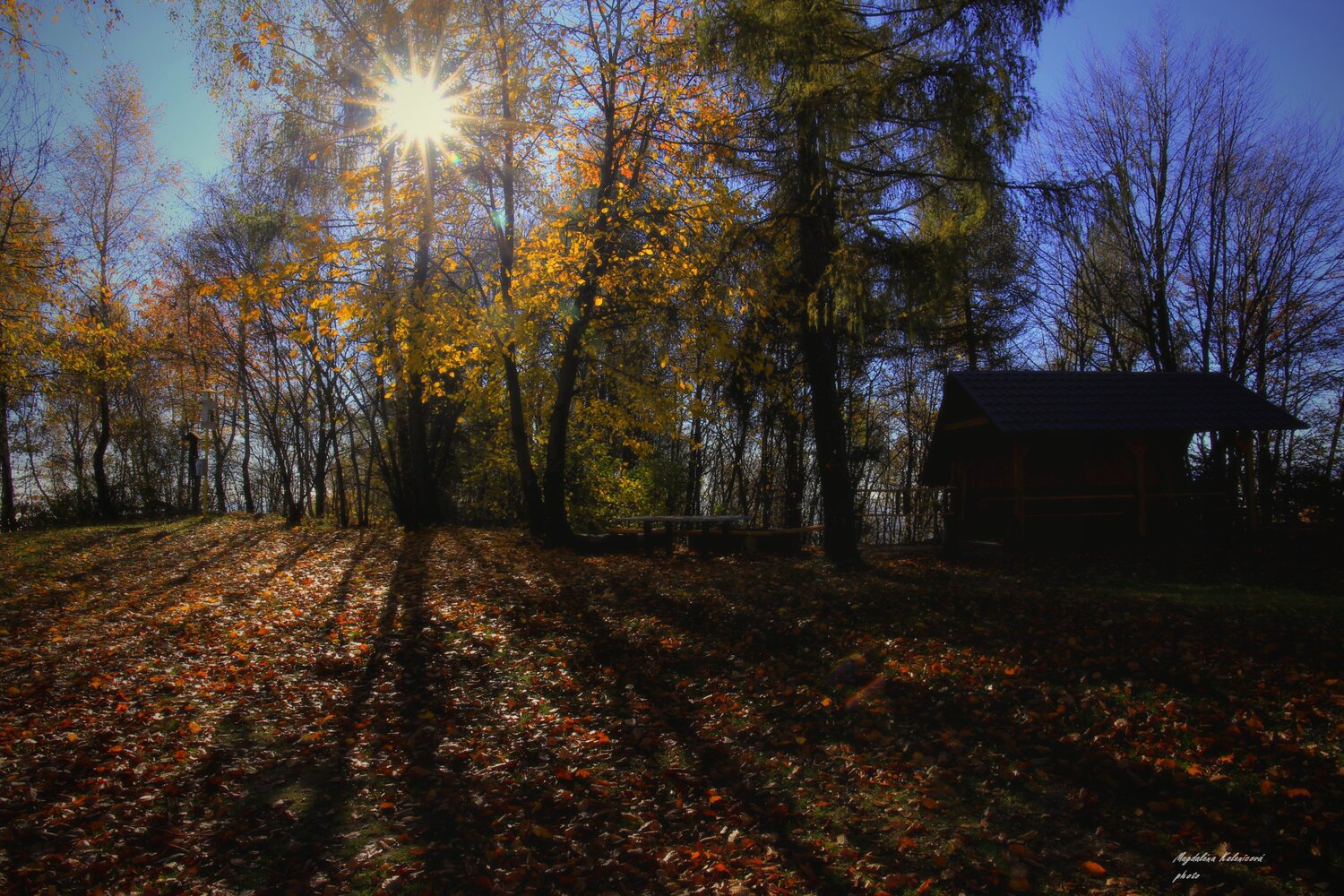 Photo #14136228