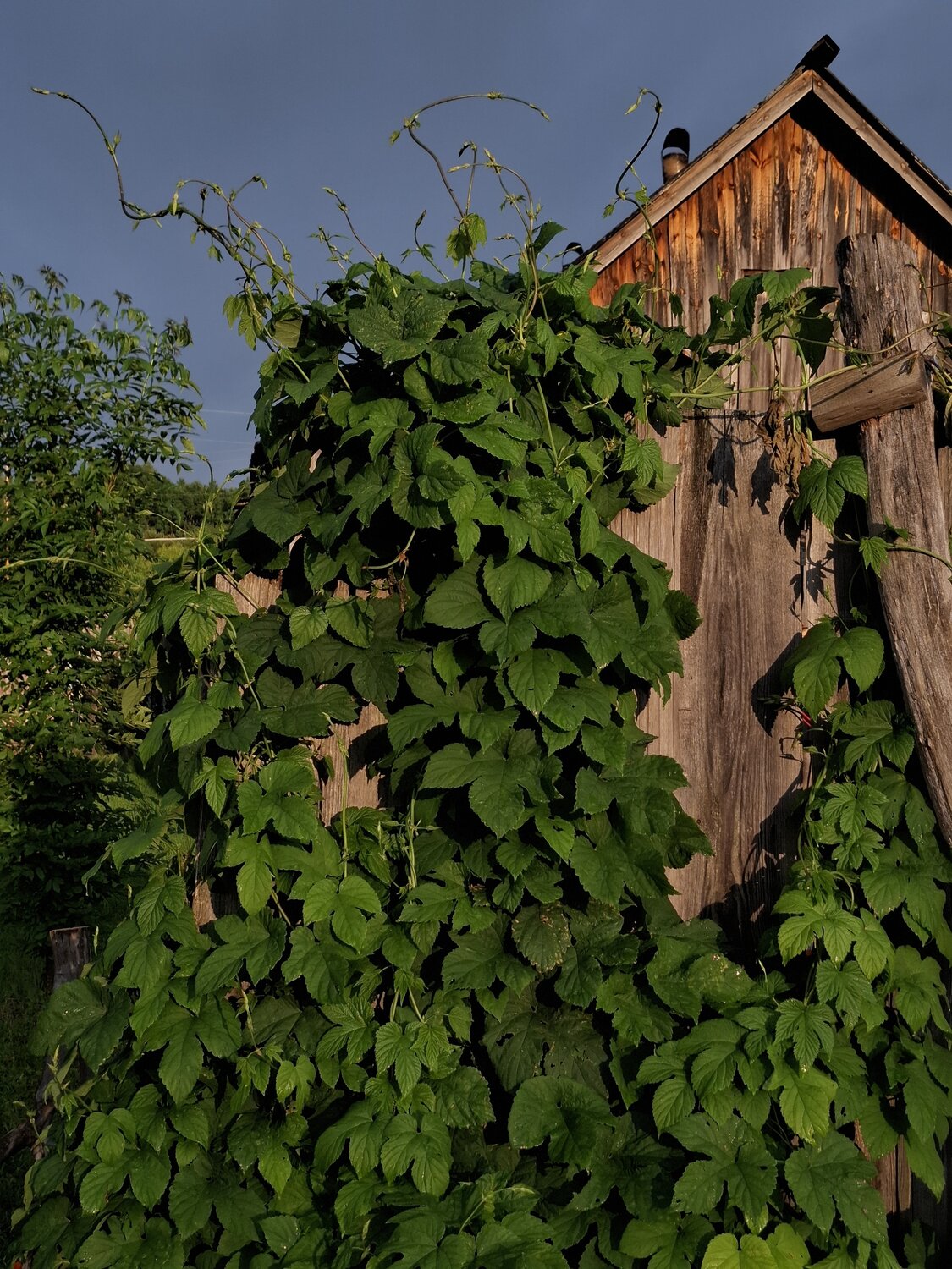 Photo #14136357