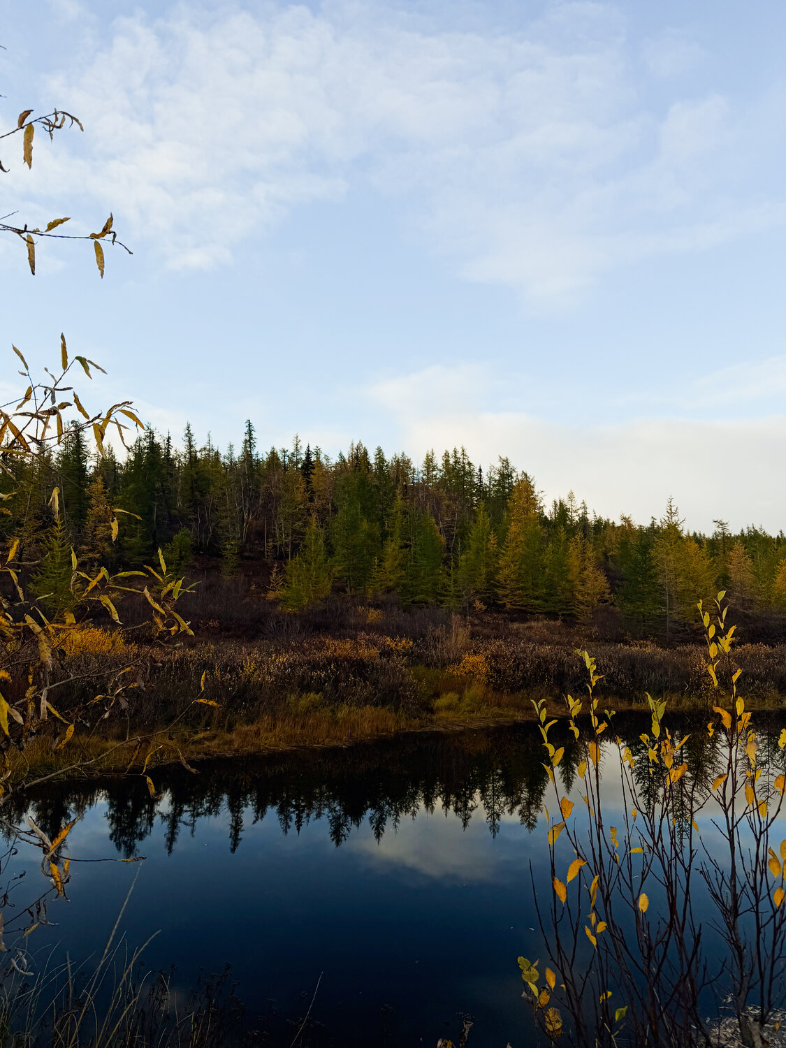 Photo #14136405