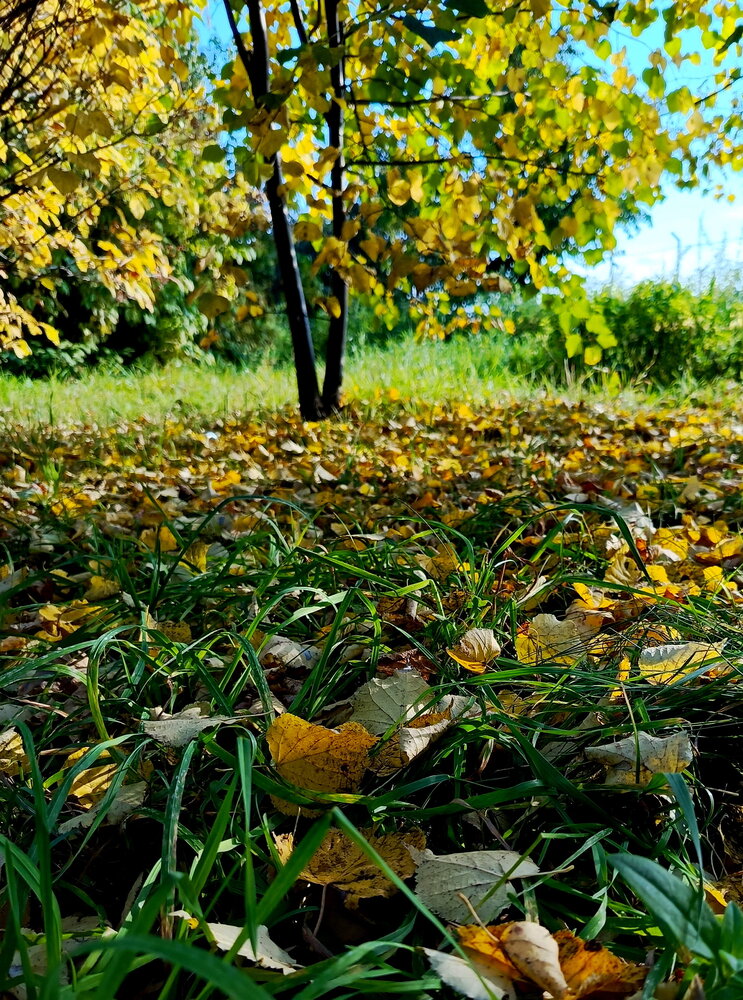Photograph by НИНА АВЕРЬЯНОВА