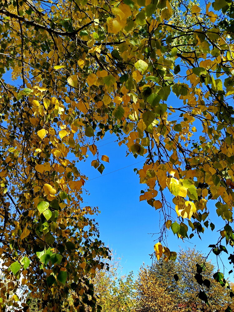 Photograph by НИНА АВЕРЬЯНОВА