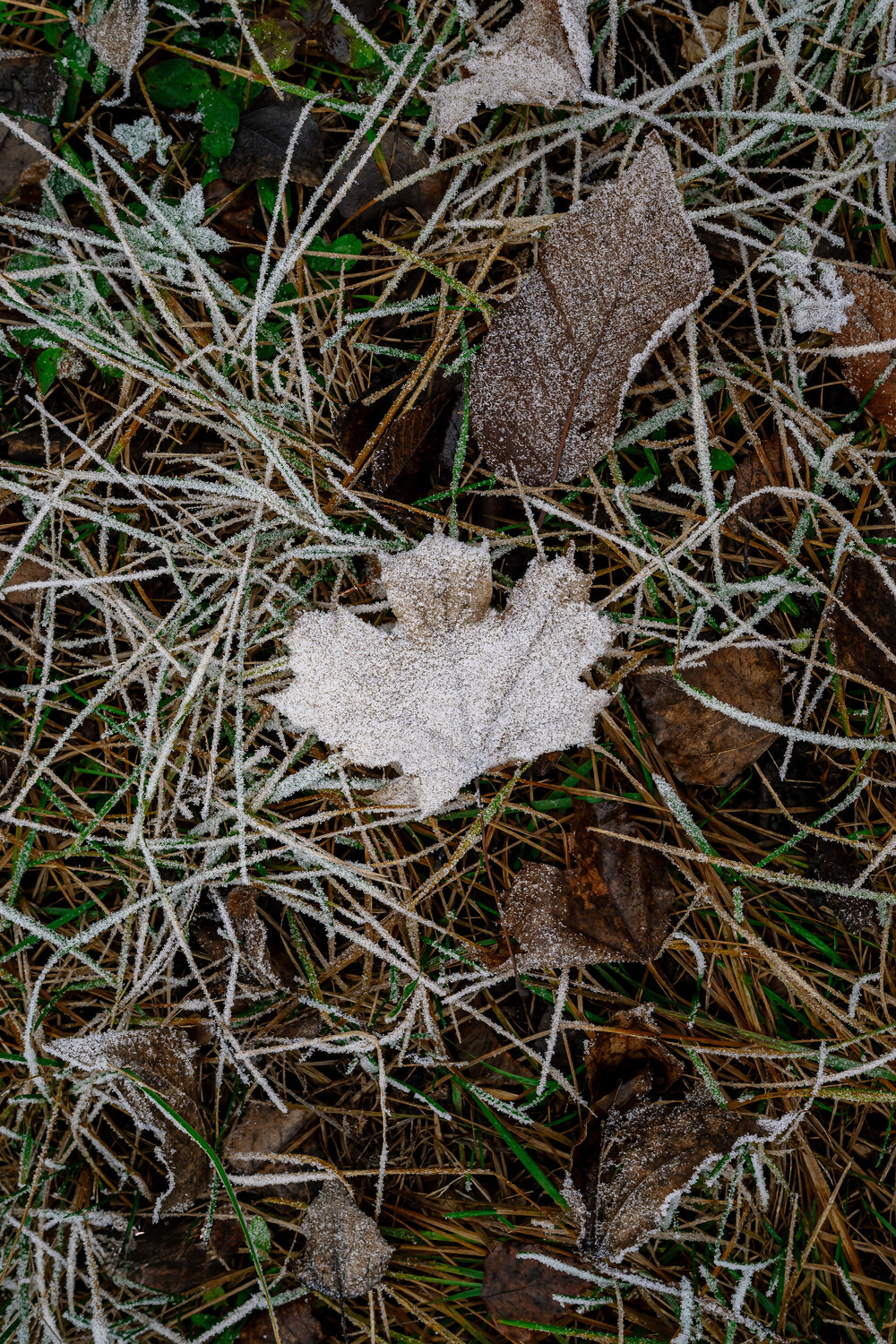 Photo #14136608