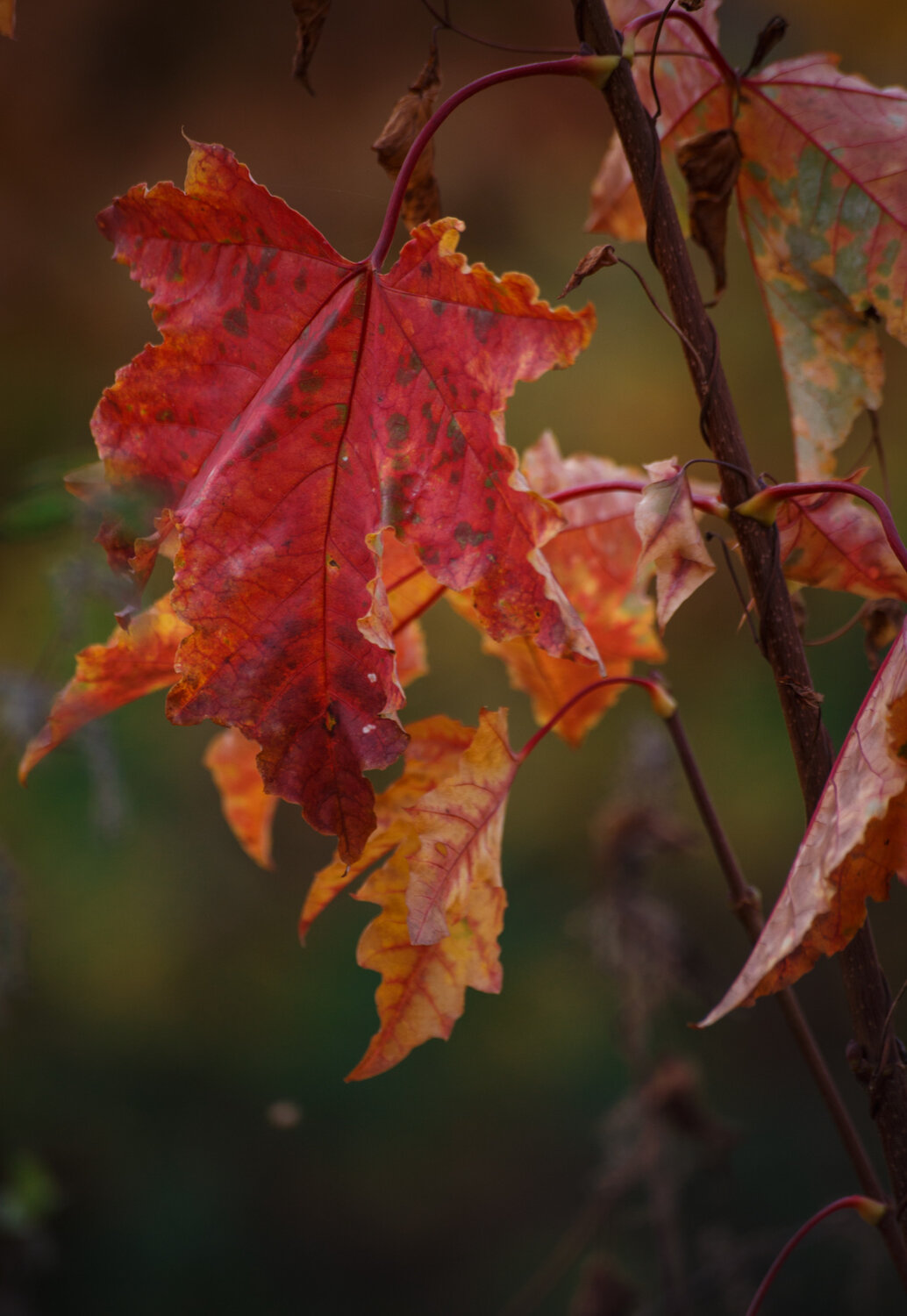 Photo #14136628