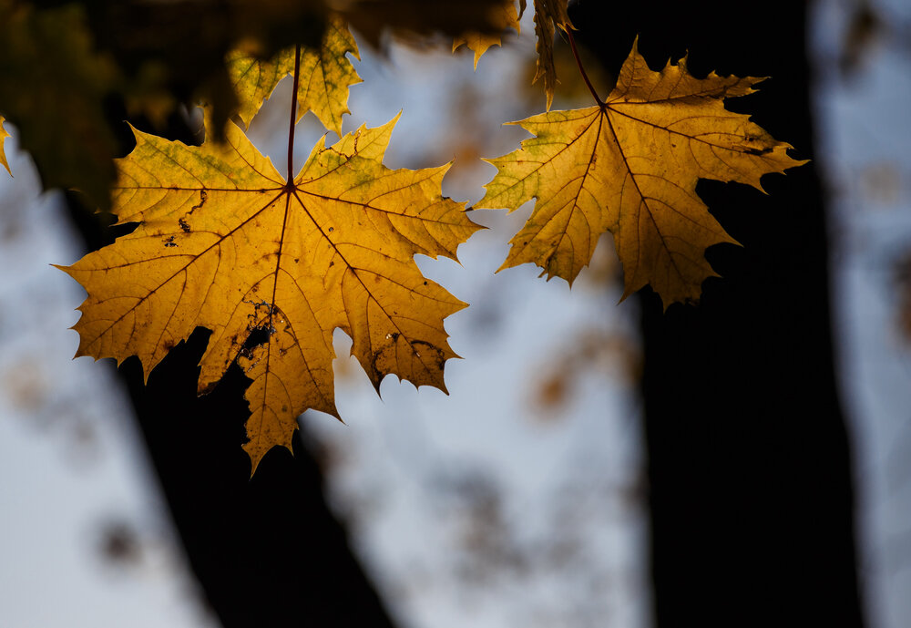 Photograph by Vasily Prokhorov