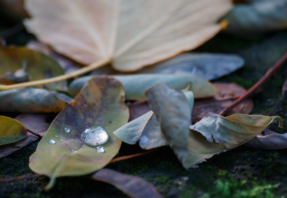 Photograph by Vasily Prokhorov