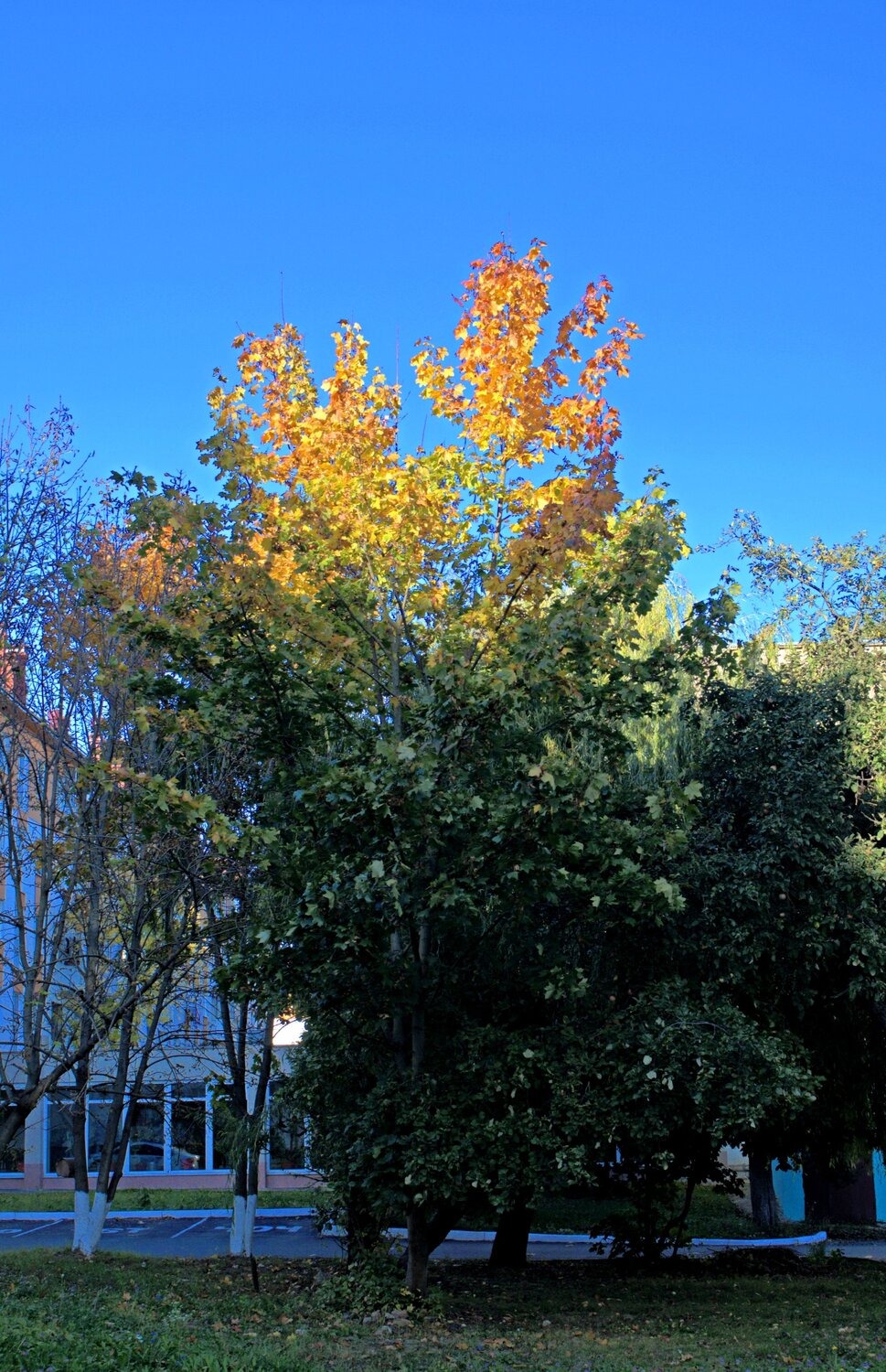 Photo #14136733