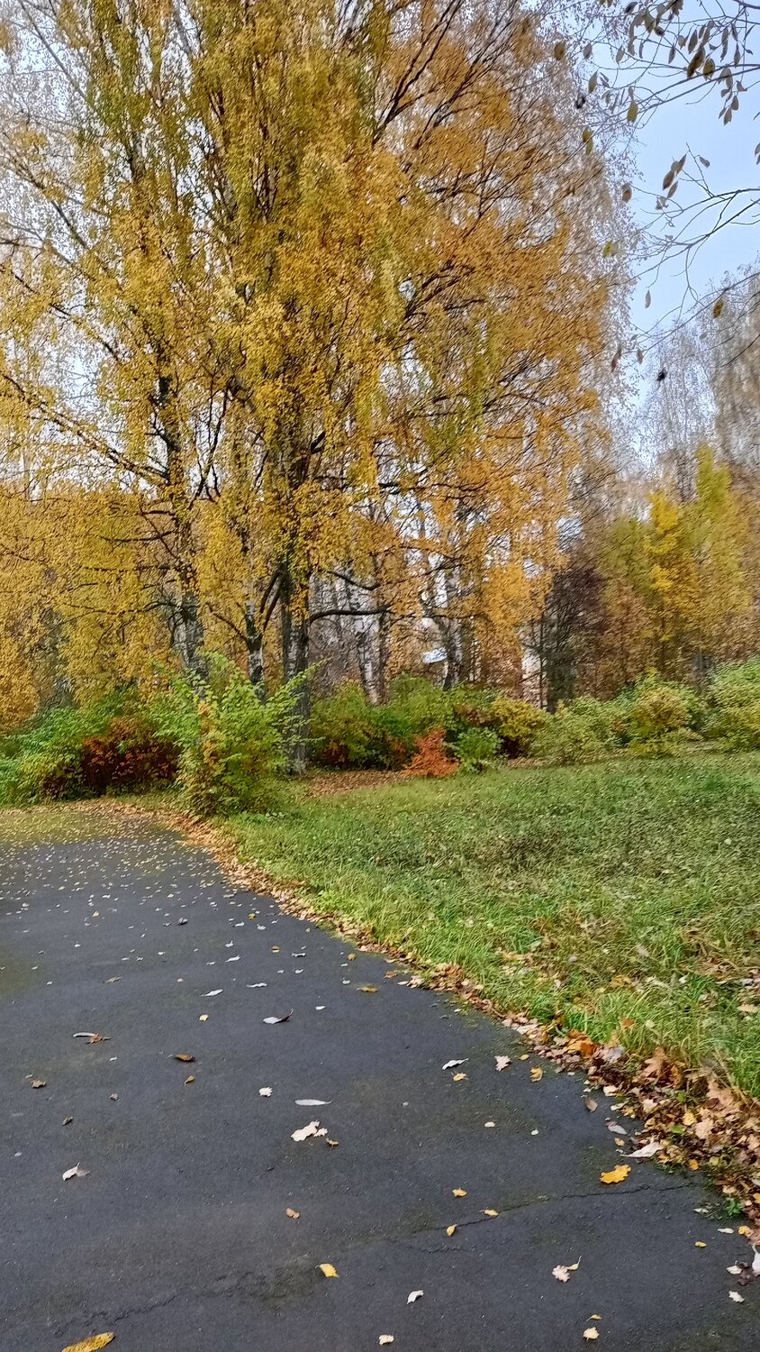 Photo #14136749