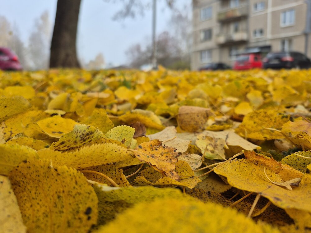 Photograph by Мария Афанасьева
