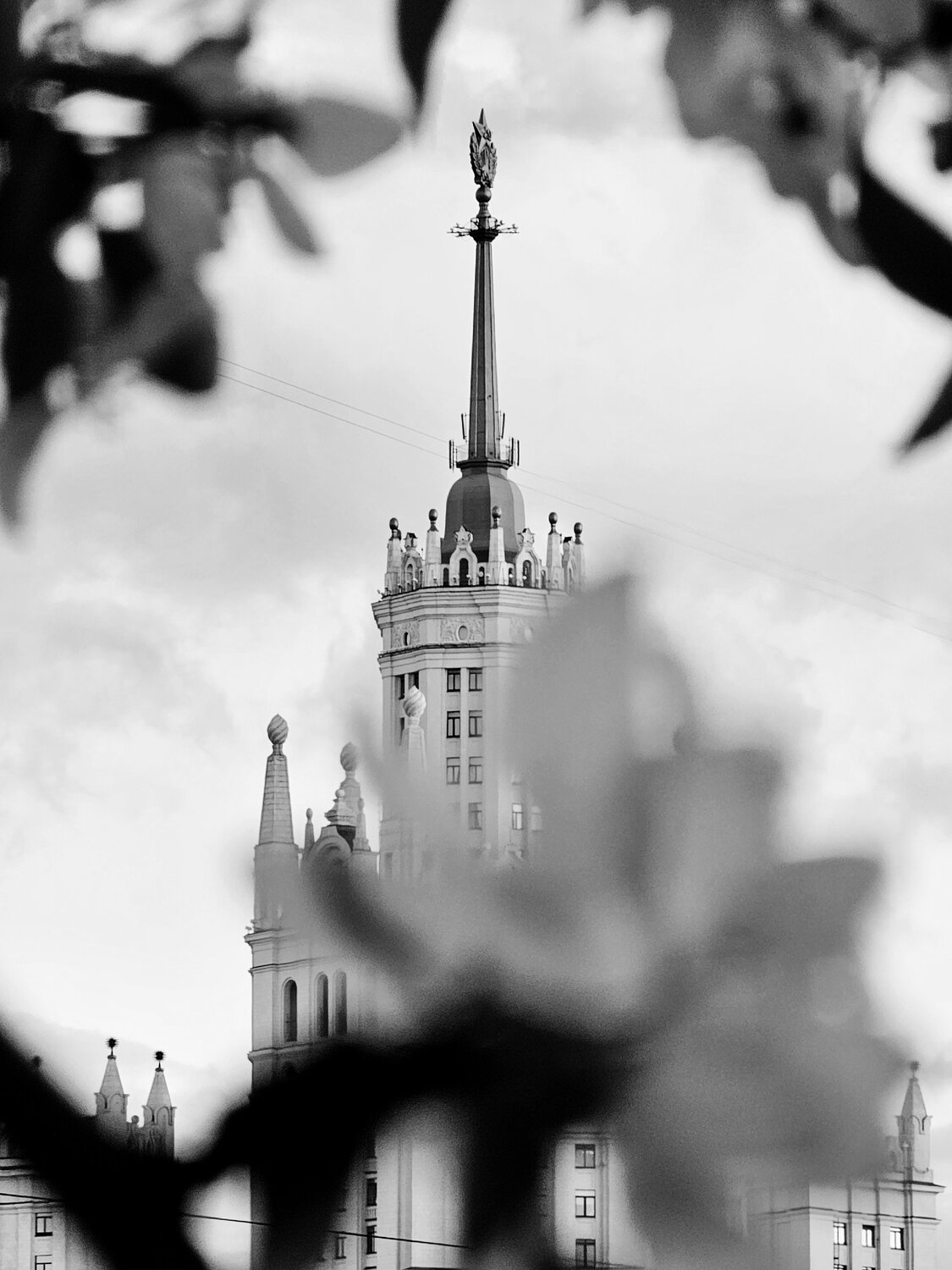Photo #14136900