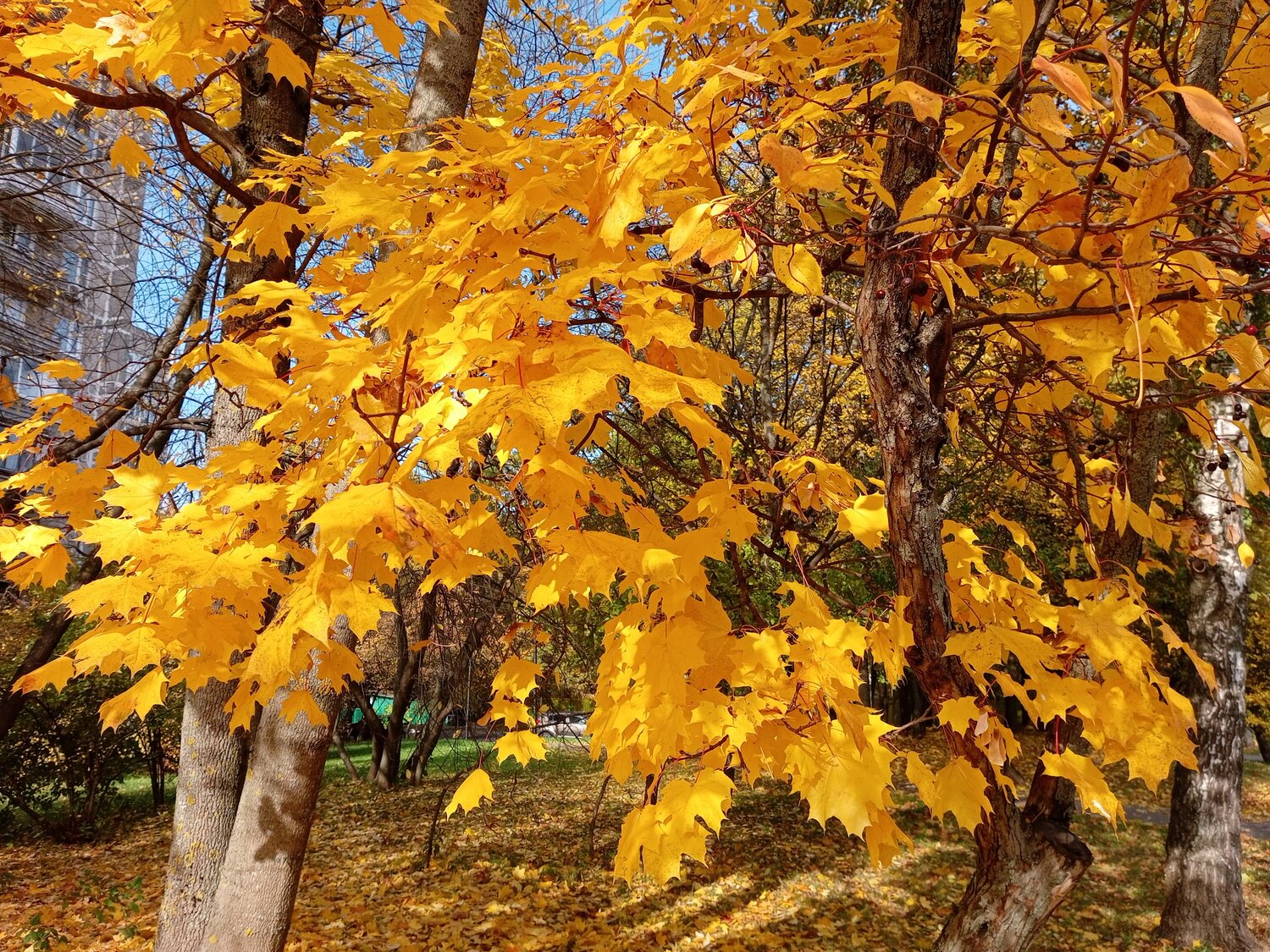 Photo #14136983
