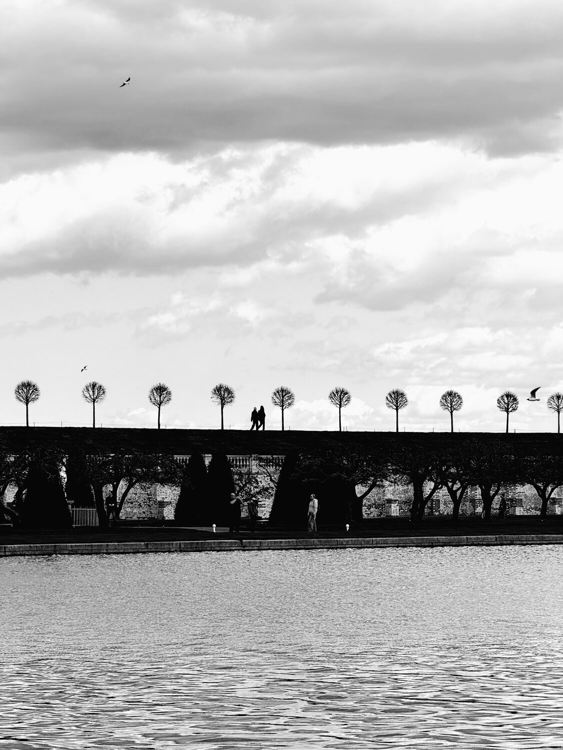 Photo #14137009