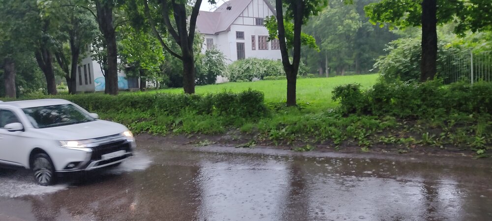 Летний дождь.