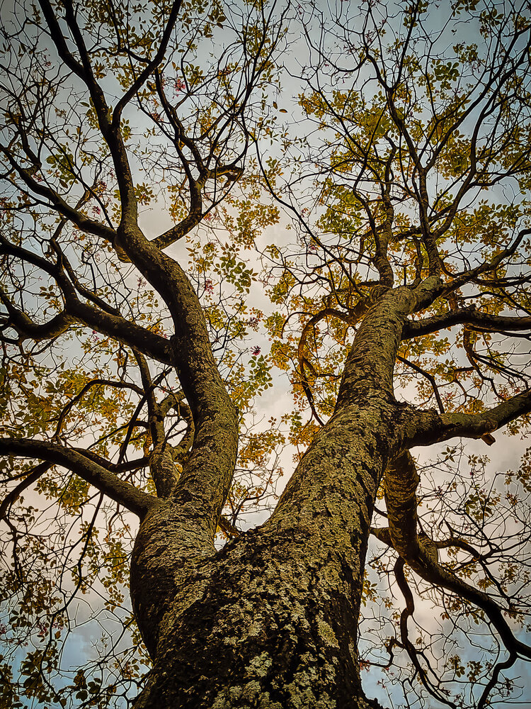 Photograph by Walfrido Alexandre