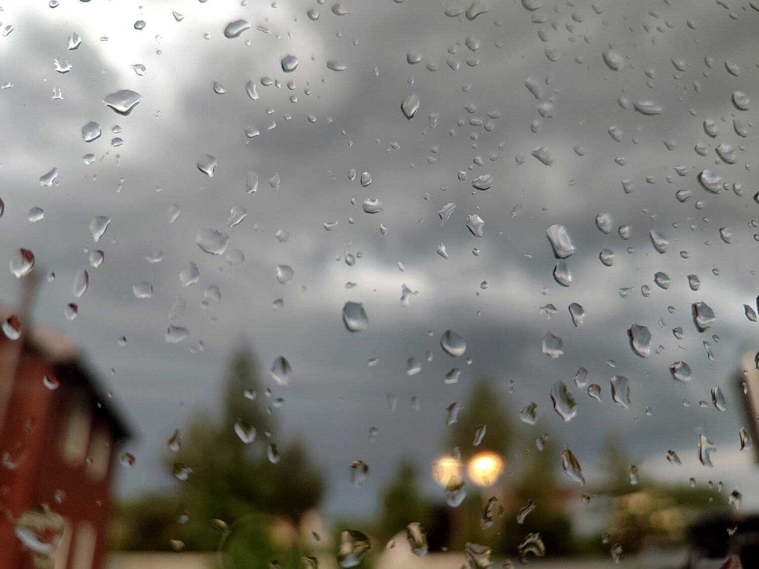 Photo #14137255