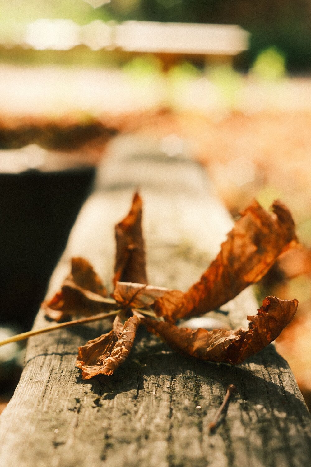 Photo #14137294