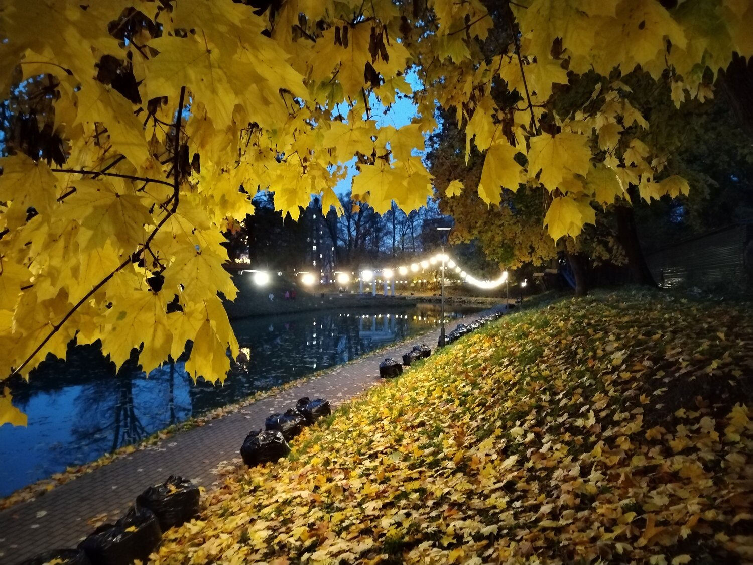 Photo #14137769