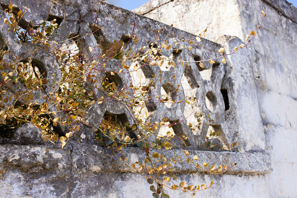 Photograph by Юлия Еркина