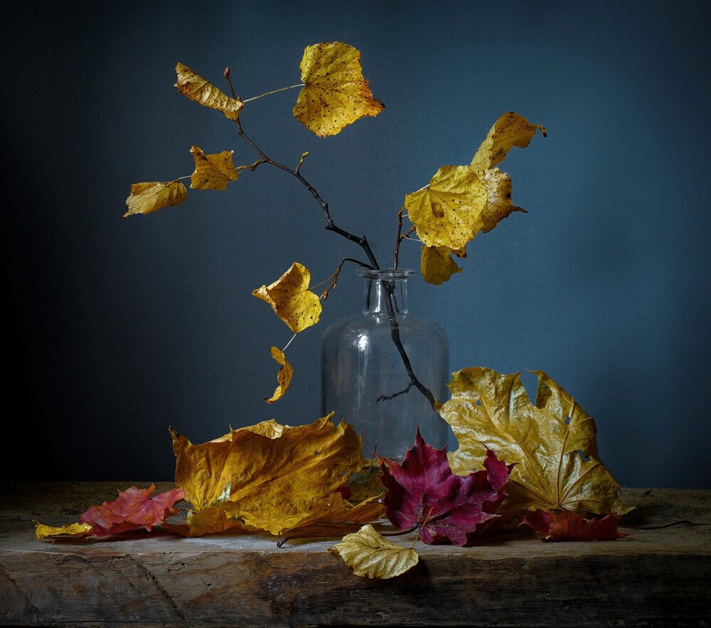 Photograph by Татьяна Шандромайло