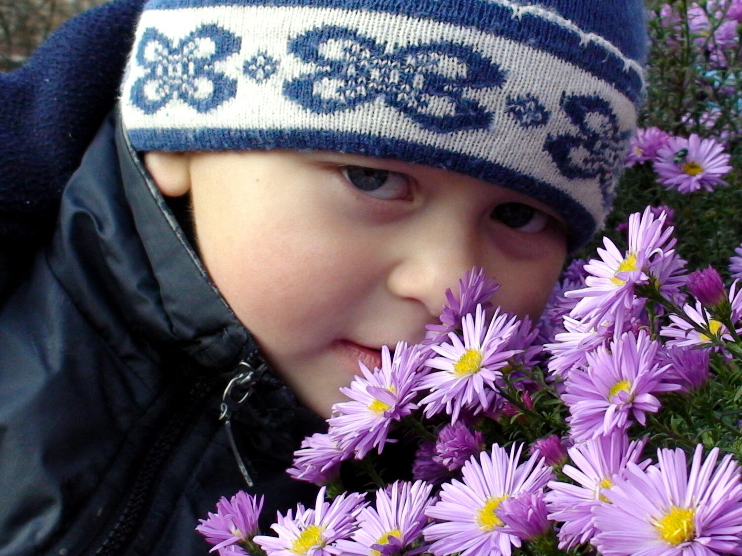 Photo #14138026