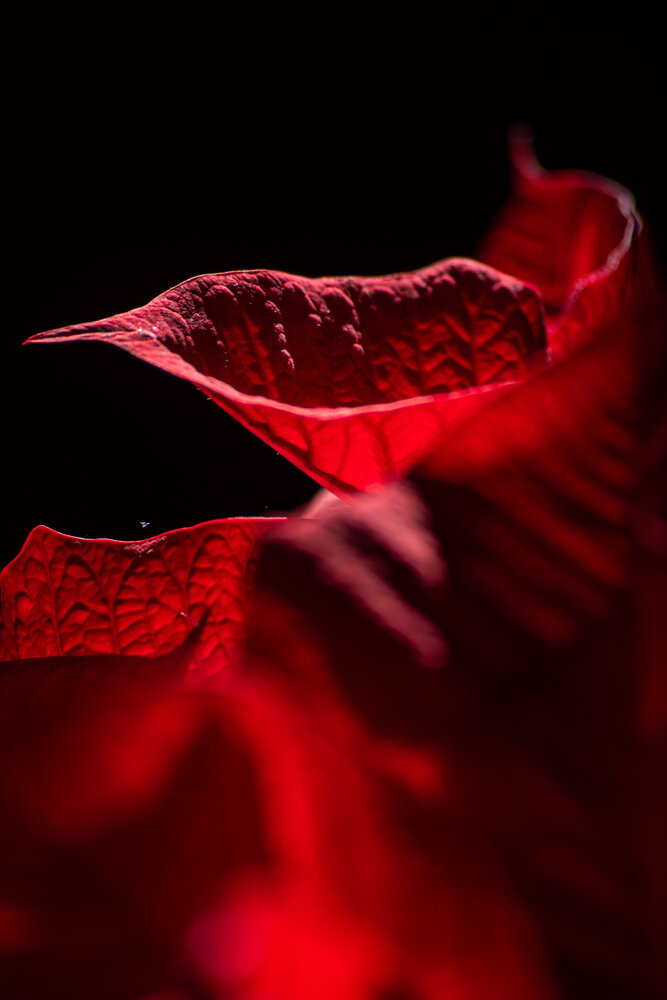 Фотография автора Moataz Helmy
