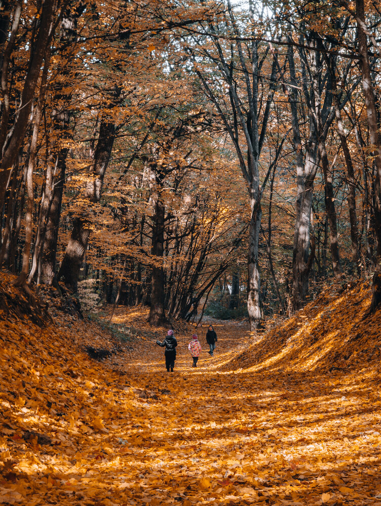 Photograph by Виталий Снегин