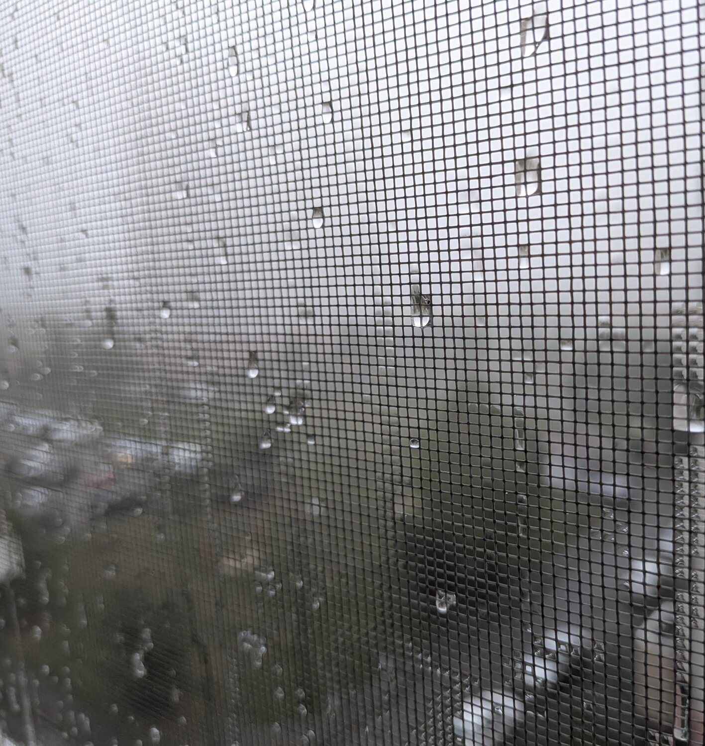 Photo #14138209