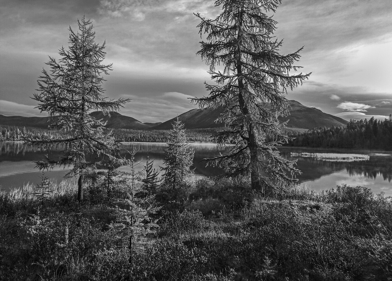 Photo #14138404