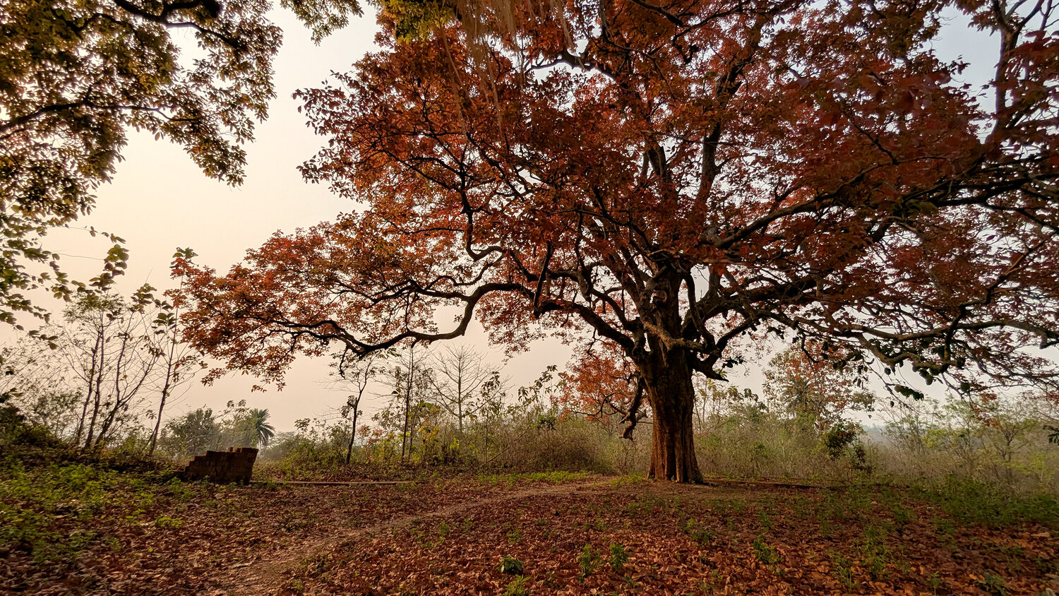 Photo #14138430