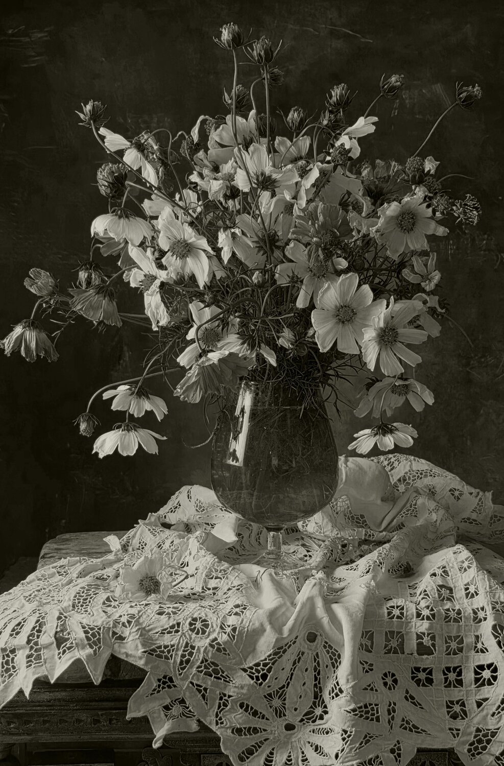 Photo #14138477