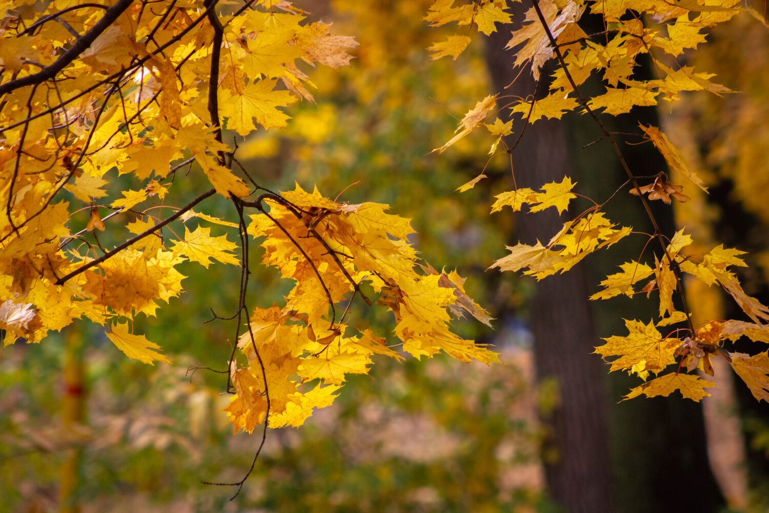 Photo #14138643