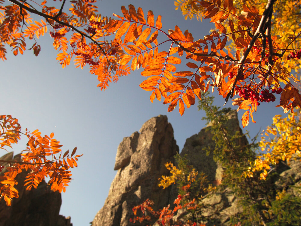 Photograph by Поляков Алексей