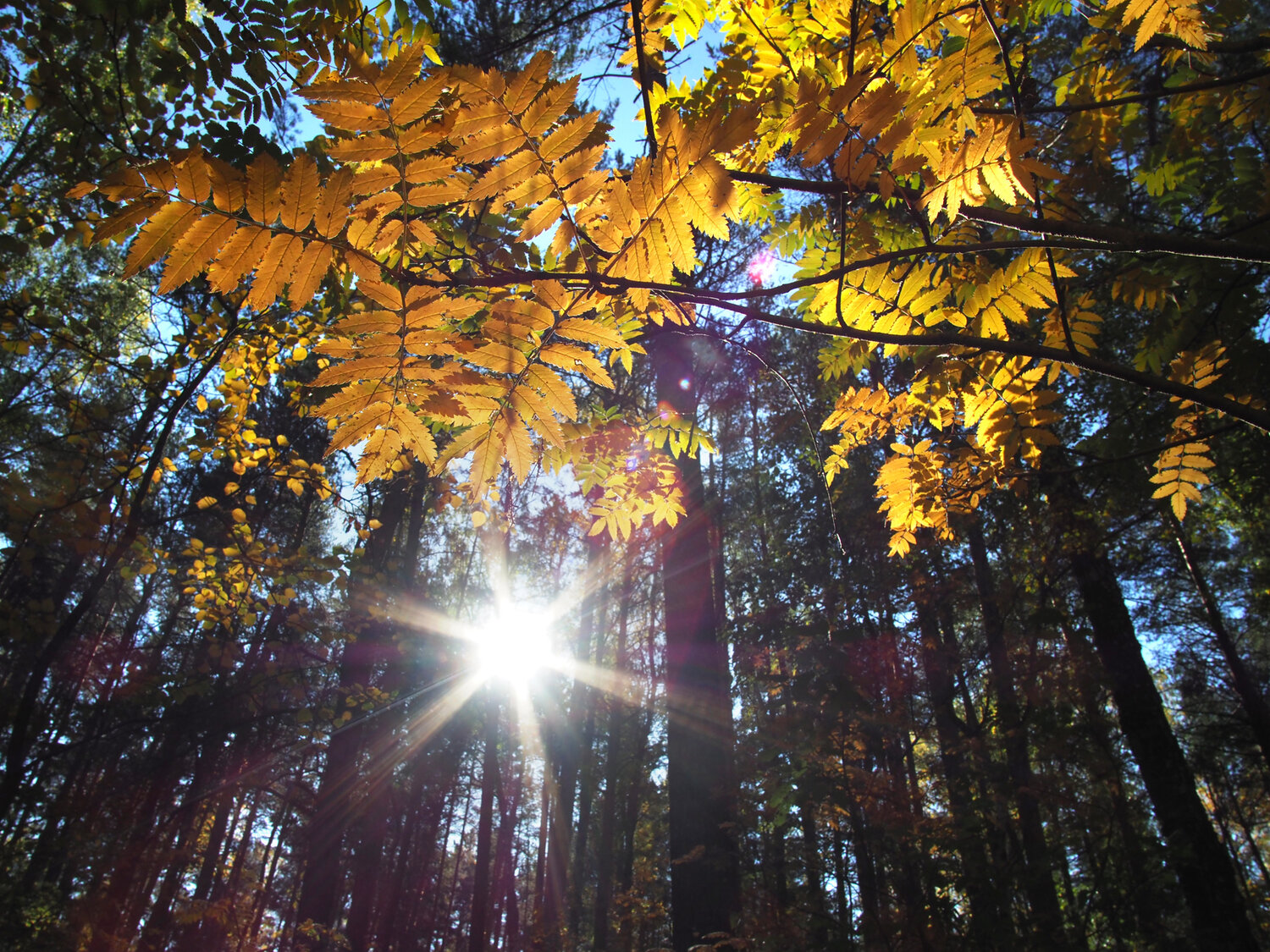 Photo #14139124